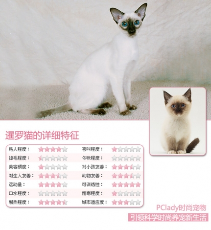 942092_928815_xianluomao.jpg
