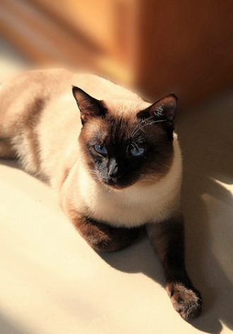 942092_809899_1.jpg