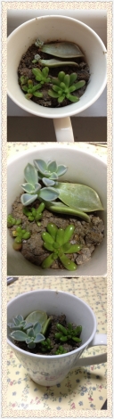 QQ图片20130912123633.jpg