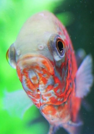 986458_dituyu11.jpg