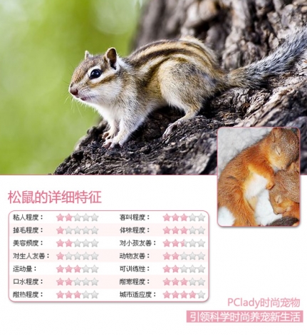 992917_928815_songshu.jpg