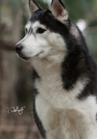 875845_0.jpg
