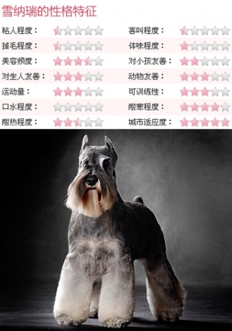1016449_582339_xuenarui.jpg