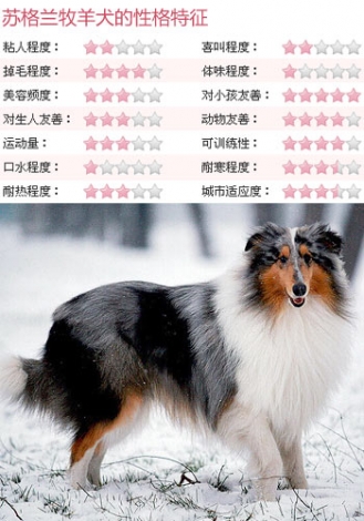 582339_sugelanmuyanquan.jpg