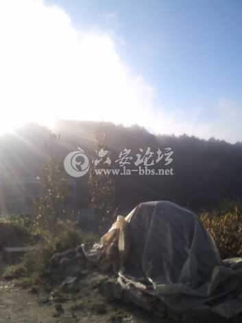 还是太阳,河边,有点凉