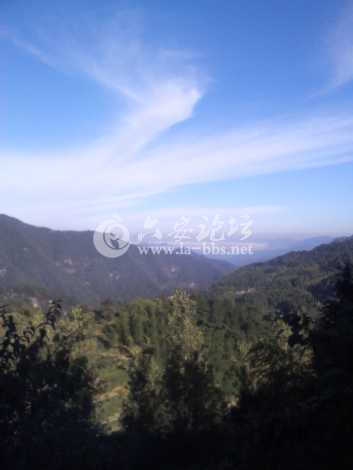 知道这是那么?在住大化坪和磨子潭叉路口拍的