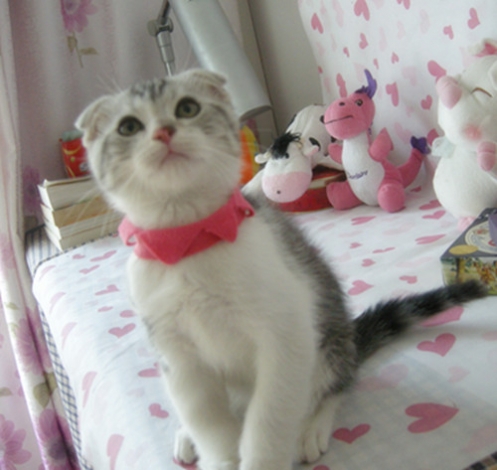 DSCN7381_副本.jpg