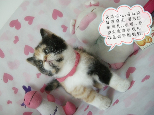 DSCN7424_副本_副本.jpg
