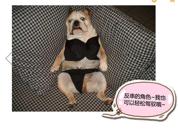 360截图20131115090027640.jpg