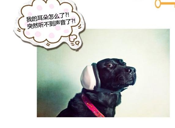 360截图20131115090126750.jpg