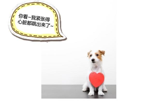 360截图20131115090120093.jpg