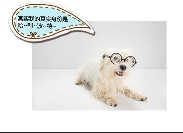 360截图20131115090057687.jpg