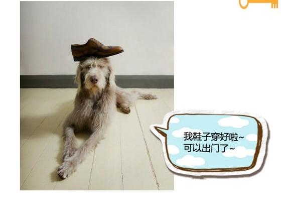 360截图20131115090049671.jpg