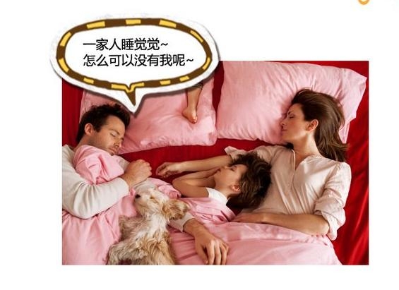 360截图20131115090042343.jpg