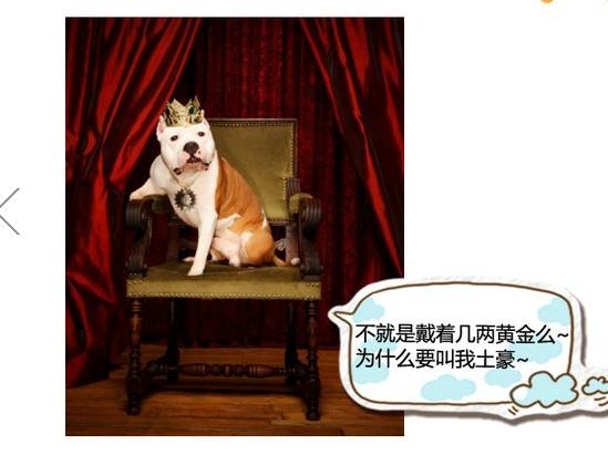 360截图20131116151453593.jpg