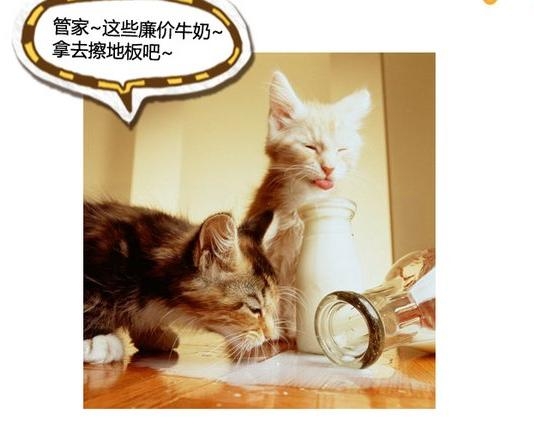360截图20131116151448406.jpg