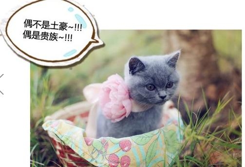 360截图20131116151505281.jpg