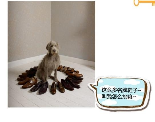 360截图20131116151521875.jpg