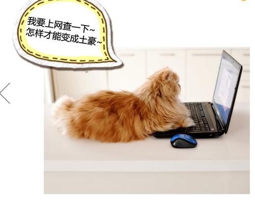 360截图20131116151516093.jpg