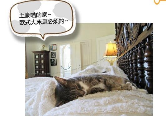 360截图20131116151510593.jpg