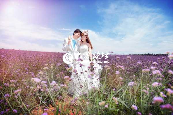 2 (2) - 副本 - 副本 - 副本 - 副本.jpg