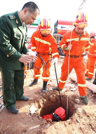 7960776_1200x1000_0 (1).jpg