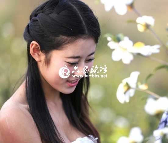 2013.11.16油茶花节 094.jpg