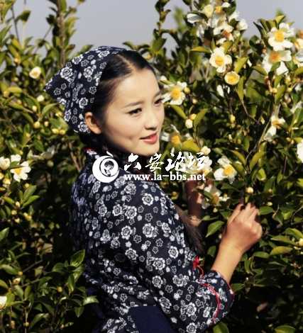 2013.11.16油茶花节 280_编辑.jpg