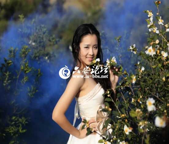 2013.11.16油茶花节 539_编辑.jpg