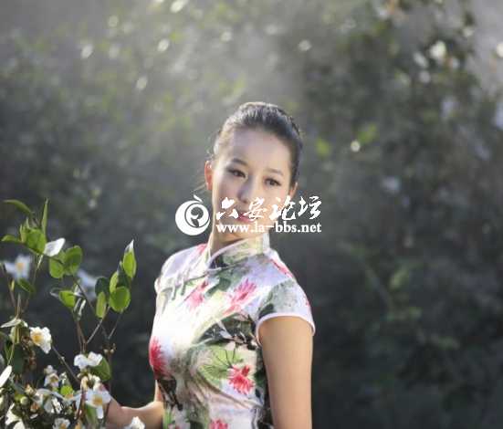 2013.11.16油茶花节 557_编辑.jpg