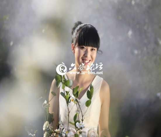 2013.11.16油茶花节 585_编辑.jpg