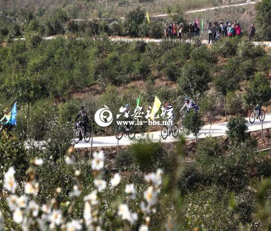 在茶山花海中骑行_编辑.jpg