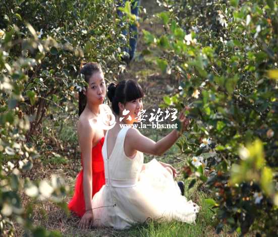 美丽可爱的茶花仙子 (4)_编辑.jpg