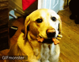 6876e888jw1e537i8dje8g207s064dru.gif