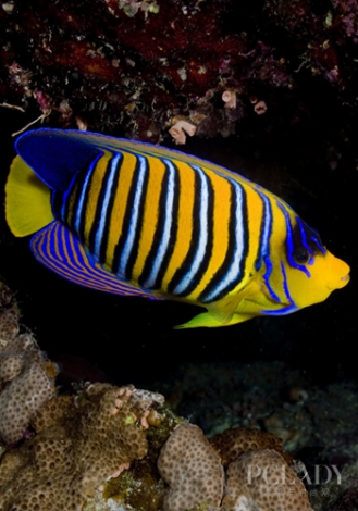 1049654_sxy3.jpg