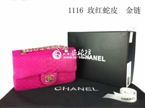 1116玫红蛇皮金链.jpg