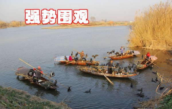 QQ截图20140103142335.png
