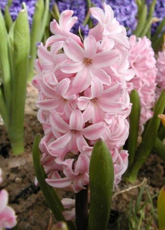 20120609115117_1065.jpg