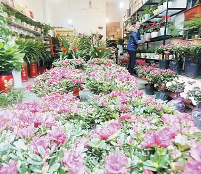 p6_b.jpg