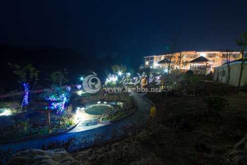温泉夜景2.jpg