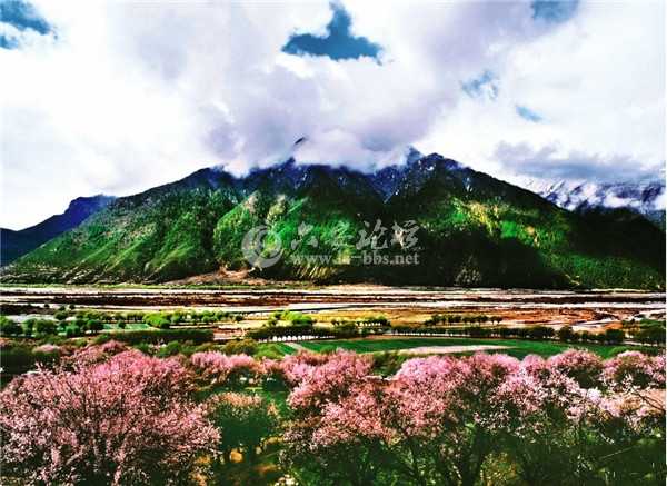 201321162214239.jpg 201321162214239.jpg