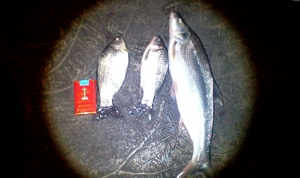 P38TO@P928){D_XH6SWG_41.jpg