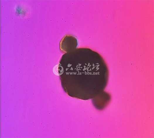 900x600_9ODJO0OB00AP0001.jpg