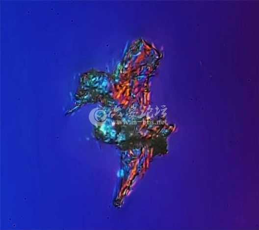 9ODJO08S00AP0001.jpg