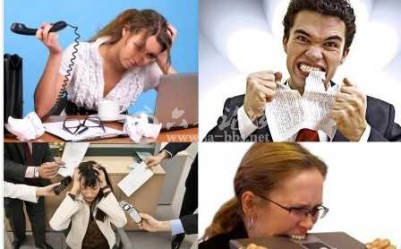 1.jpg 1.jpg
