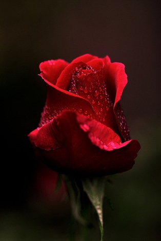 d1a20cf431adcbef14674408aeaf2edda3cc9f68.jpg