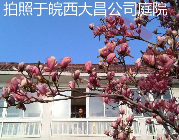 YP20140323081947555-1_meitu_1.jpg