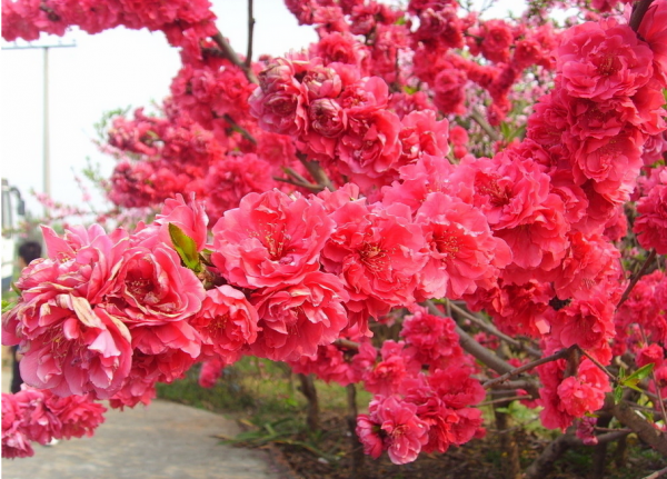 QQ截图20140331151018.png