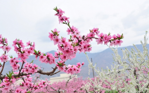 QQ截图20140331150938.png