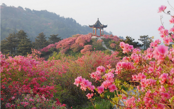 QQ截图20140401145148.png